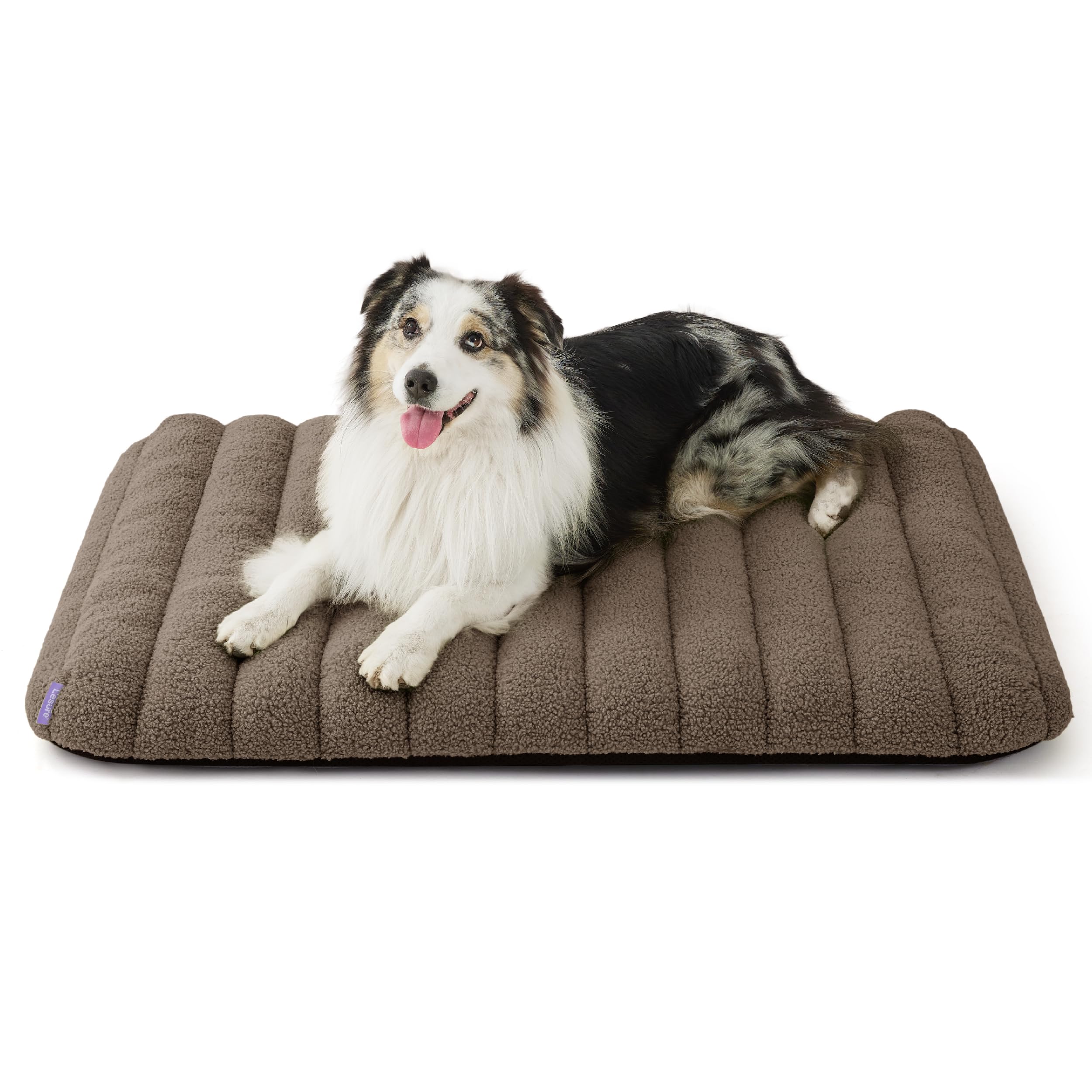 LE SURE Cute Orthopedic Dog Bed room shot shows spacious lounging for relaxed naps.