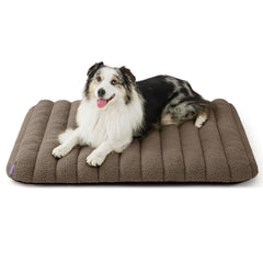 LE SURE Cute Orthopedic Dog Bed room shot shows spacious lounging for relaxed naps.
