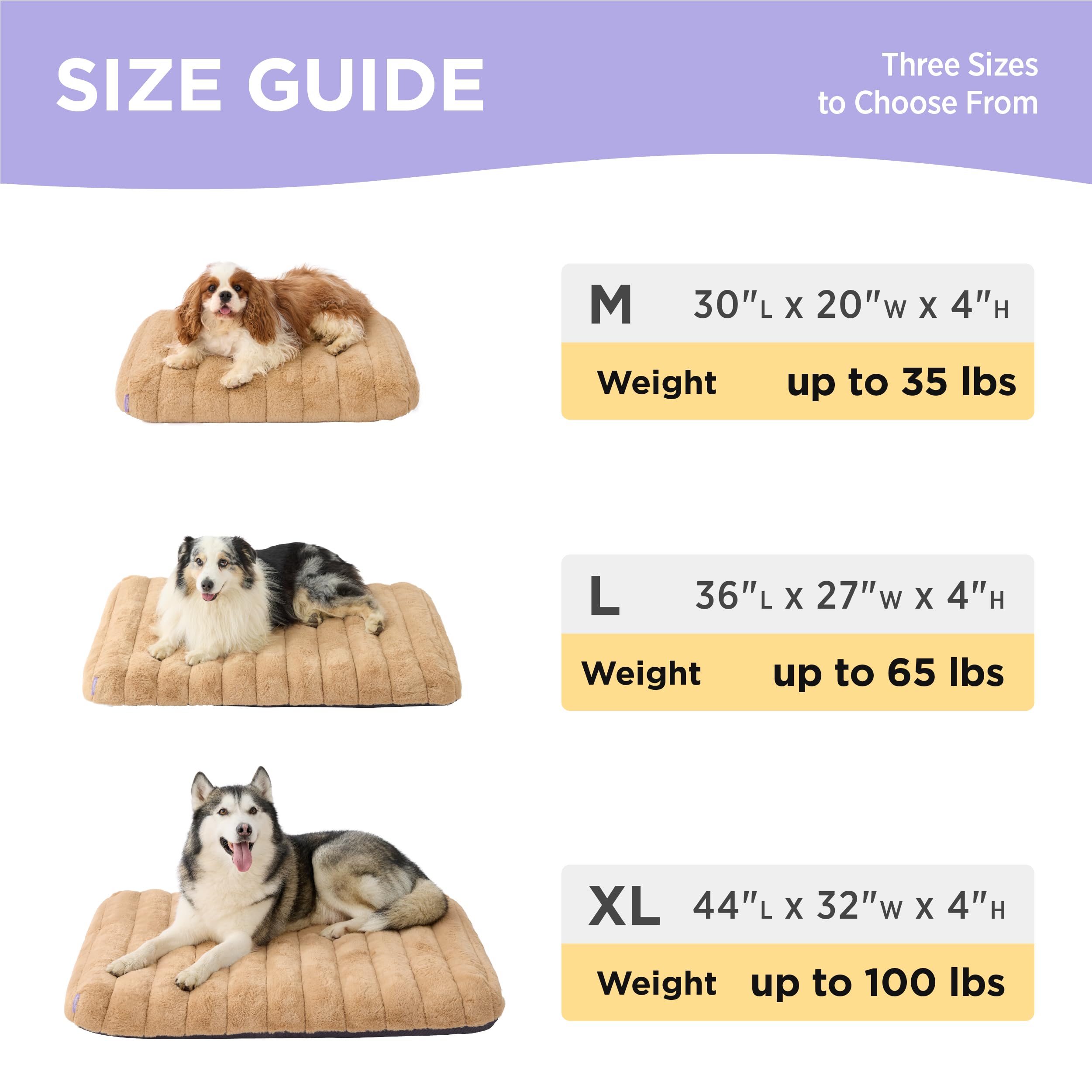 LE SURE beige bed blends with home decor and cozy lounging.