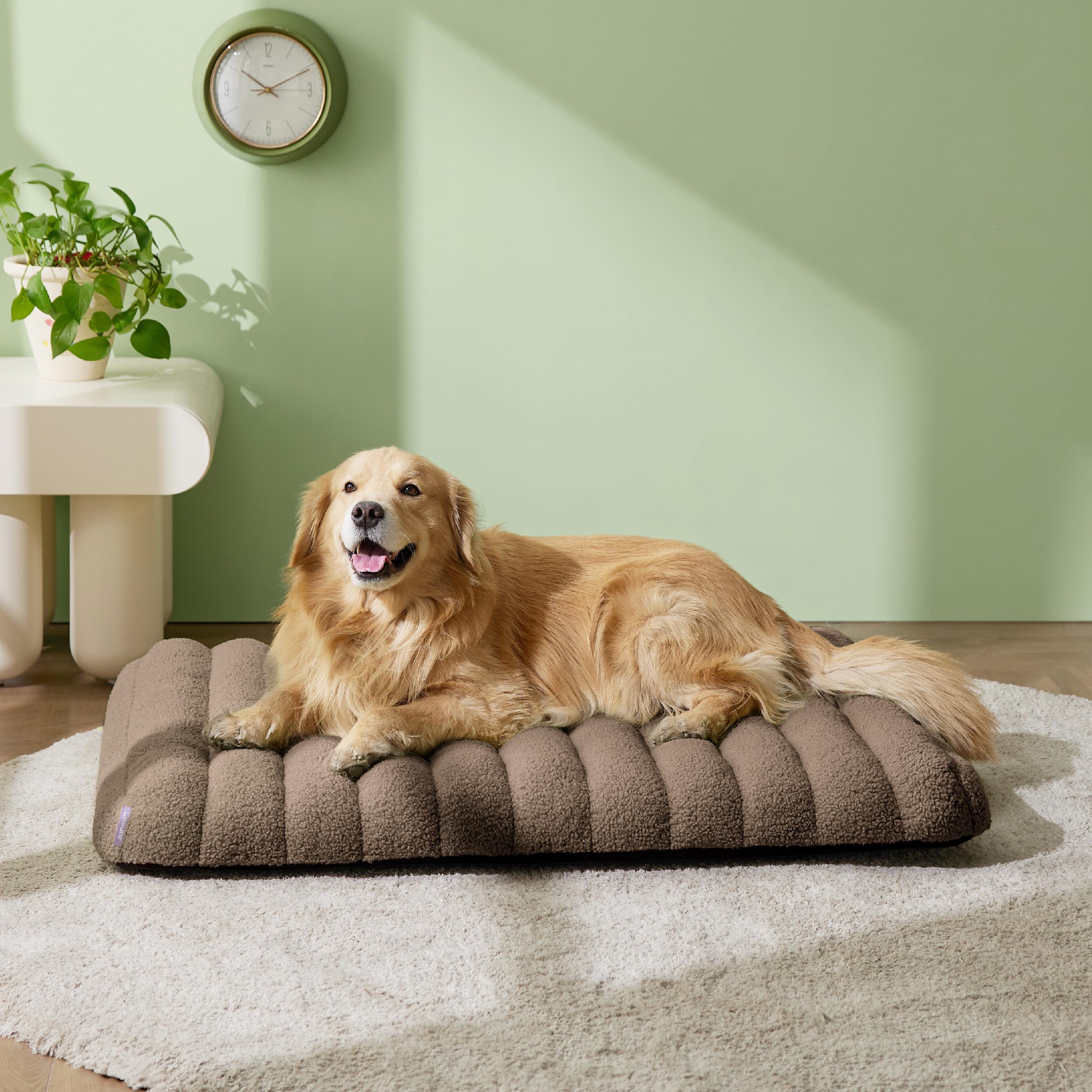 LE SURE orthopedic dog bed XL egg-crate foam provides pressure-relief support for long, comfortable naps.