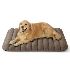 LE SURE cute orthopedic dog bed XL overview showcases cozy, spacious lounging for large dogs.