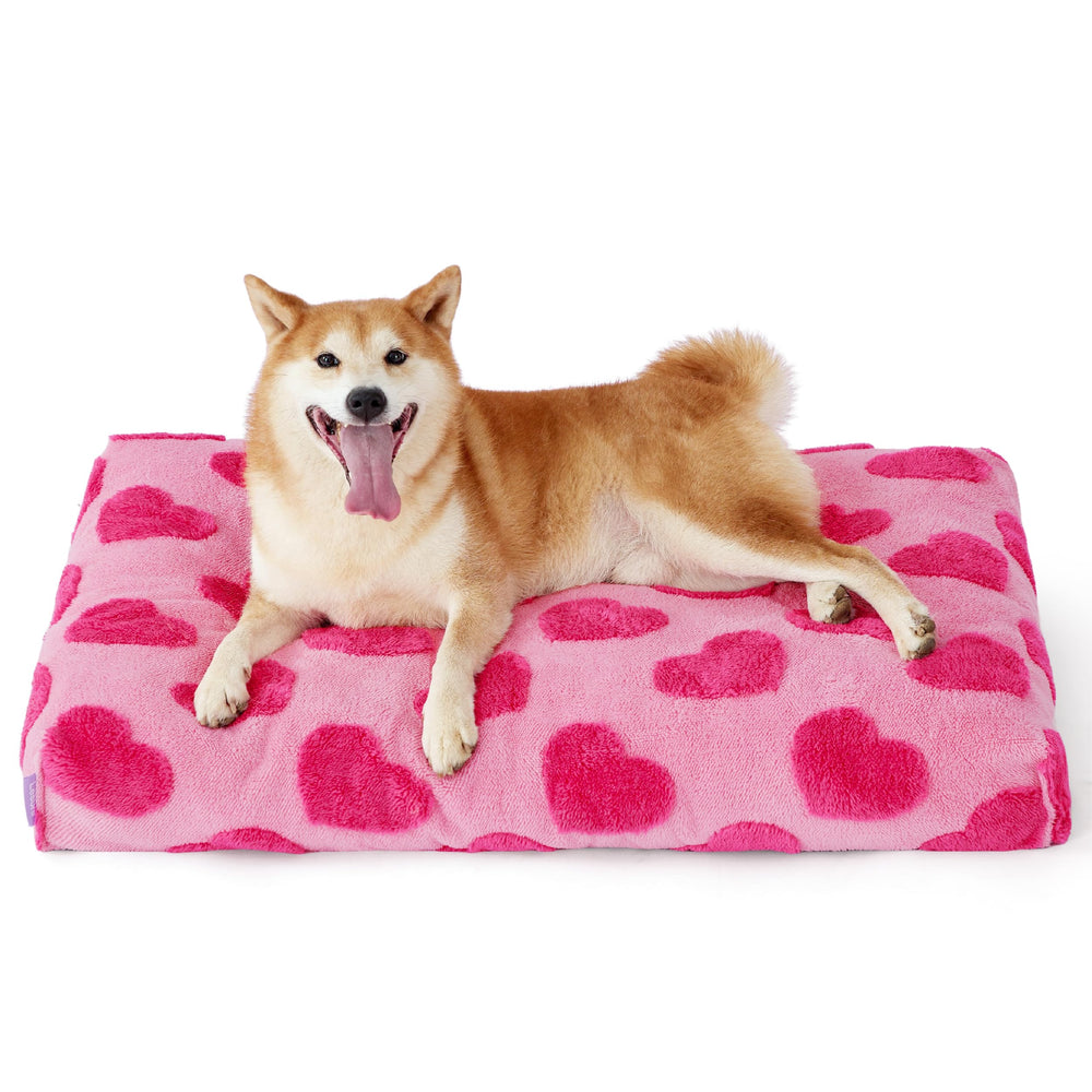 LE SURE dog bed compress-packed packaging saves space and expands after unpacking