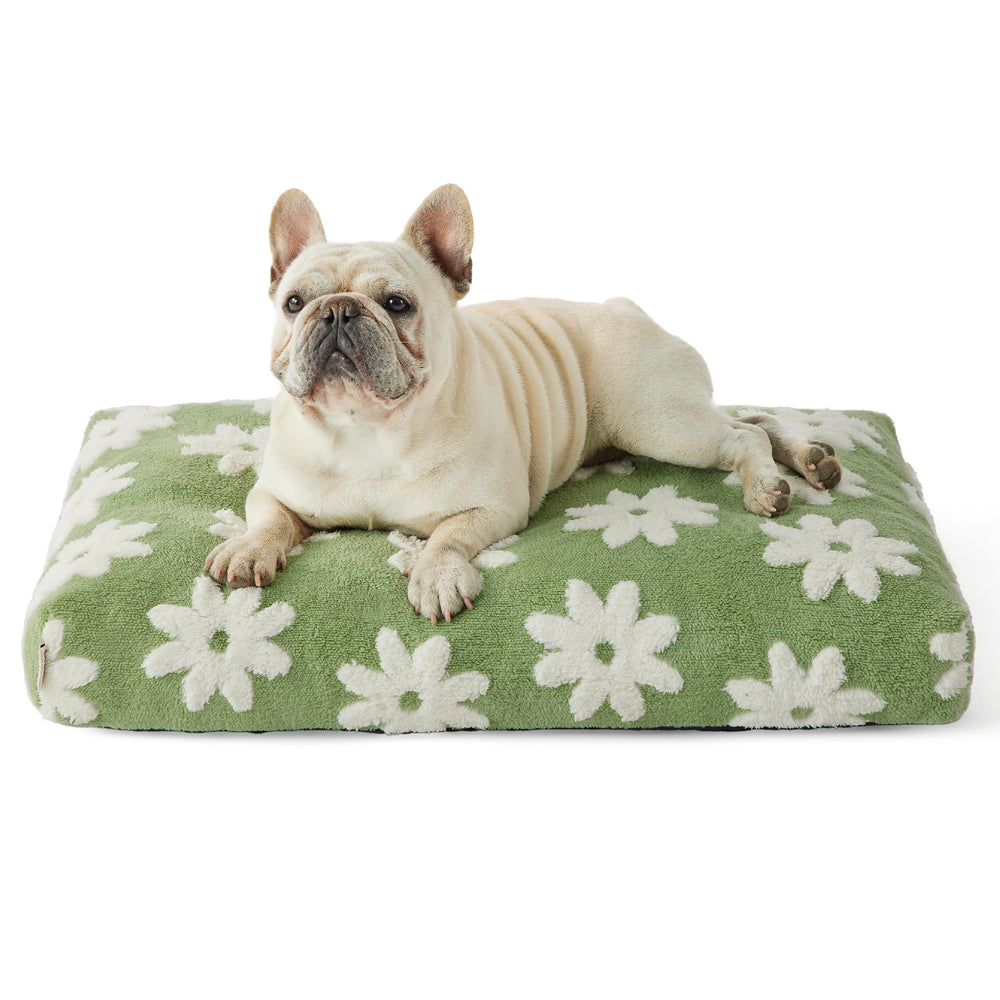 LE SURE dog bed green cover closeup highlights plush sherpa comfort for cozy naps.