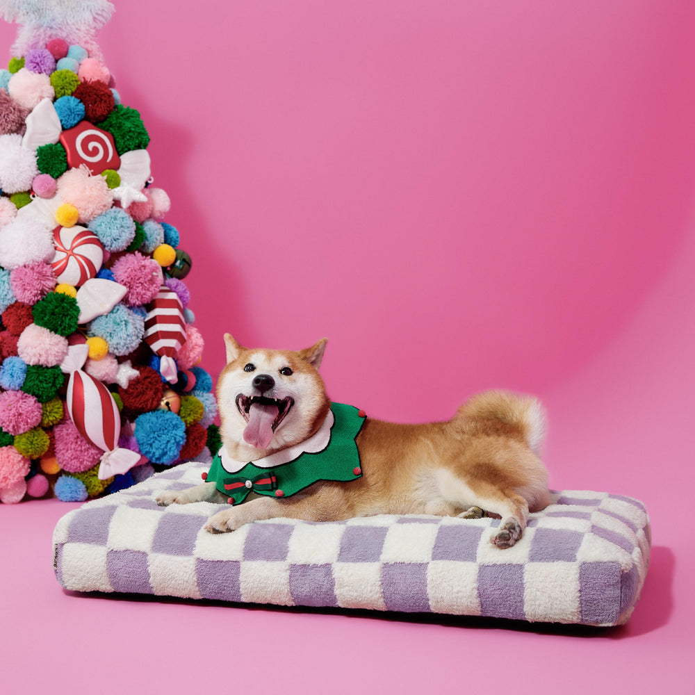 LE SURE Dog Bed Large compression-packed packaging saves space and inflates within 72 hours