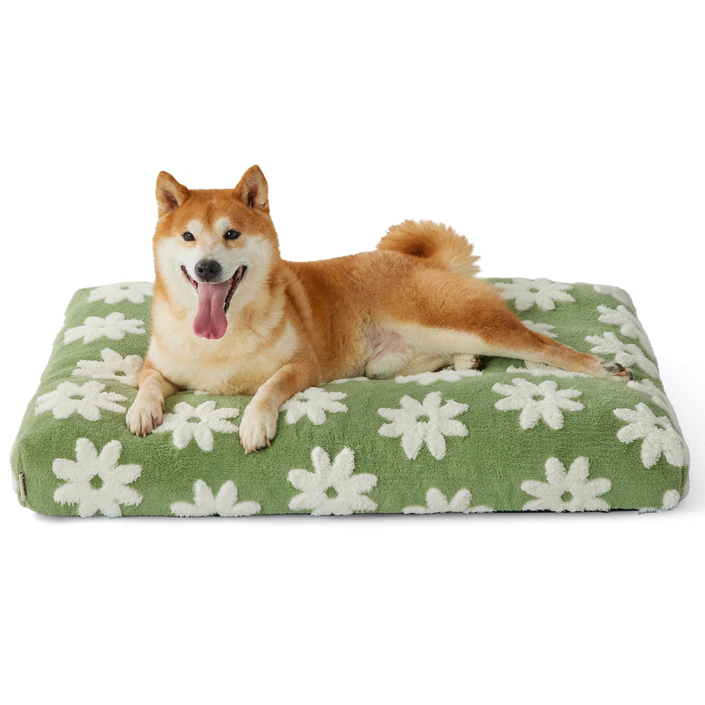LE SURE Dog Bed Large Green Colorway blends with home decor