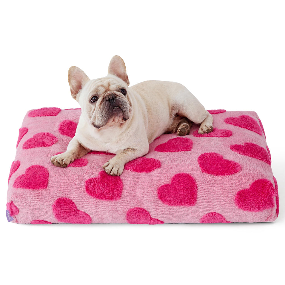 LE SURE bed ships compress-packed and inflates to fluffy fullness within 72 hours.