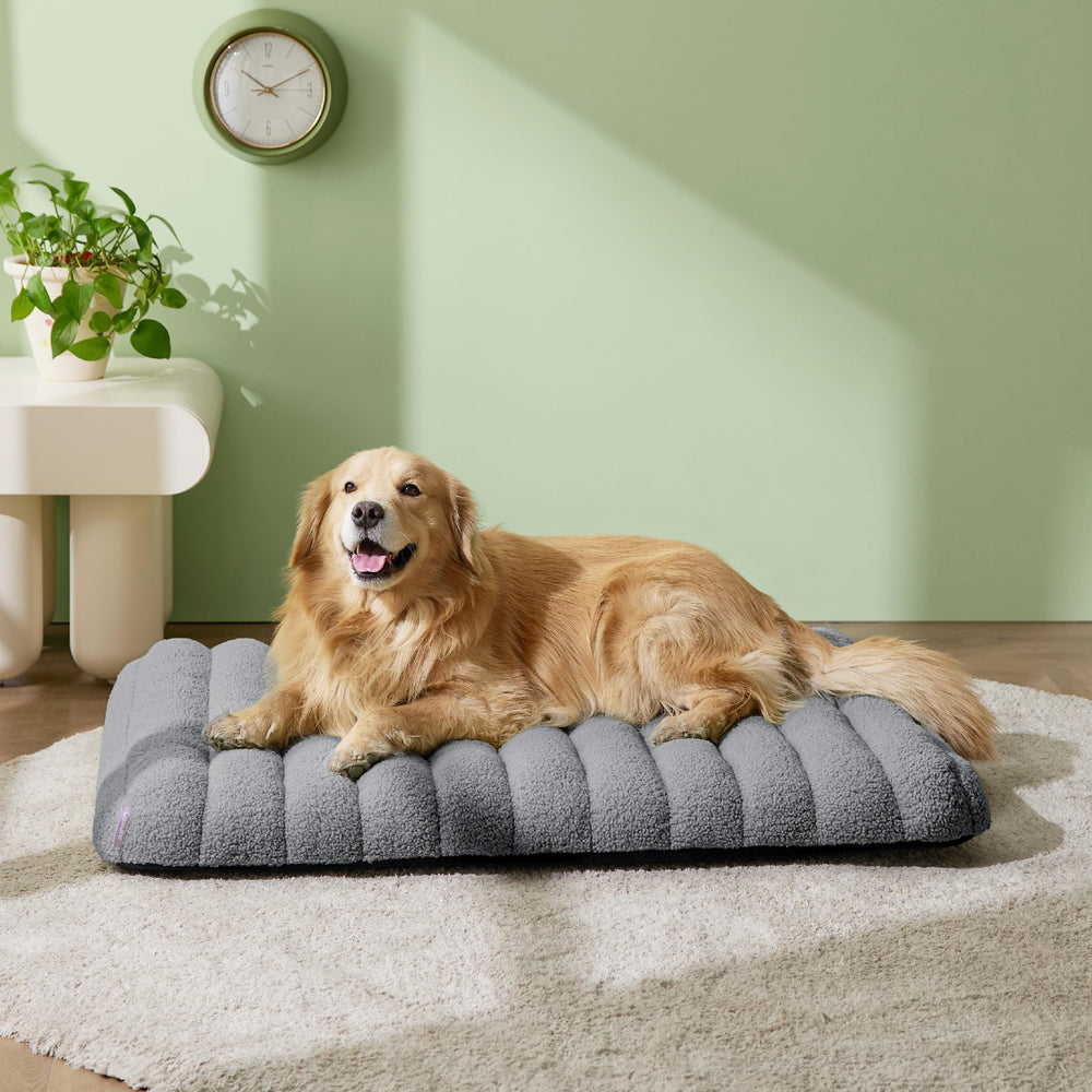 LE SURE dog bed shows non-slip bottom for stable lounging