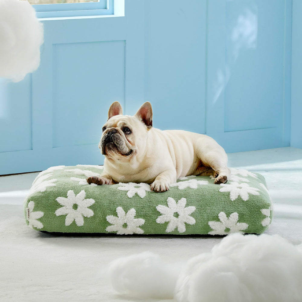 LE SURE dog bed waterproof inner liner protects against spills for calmer evenings.