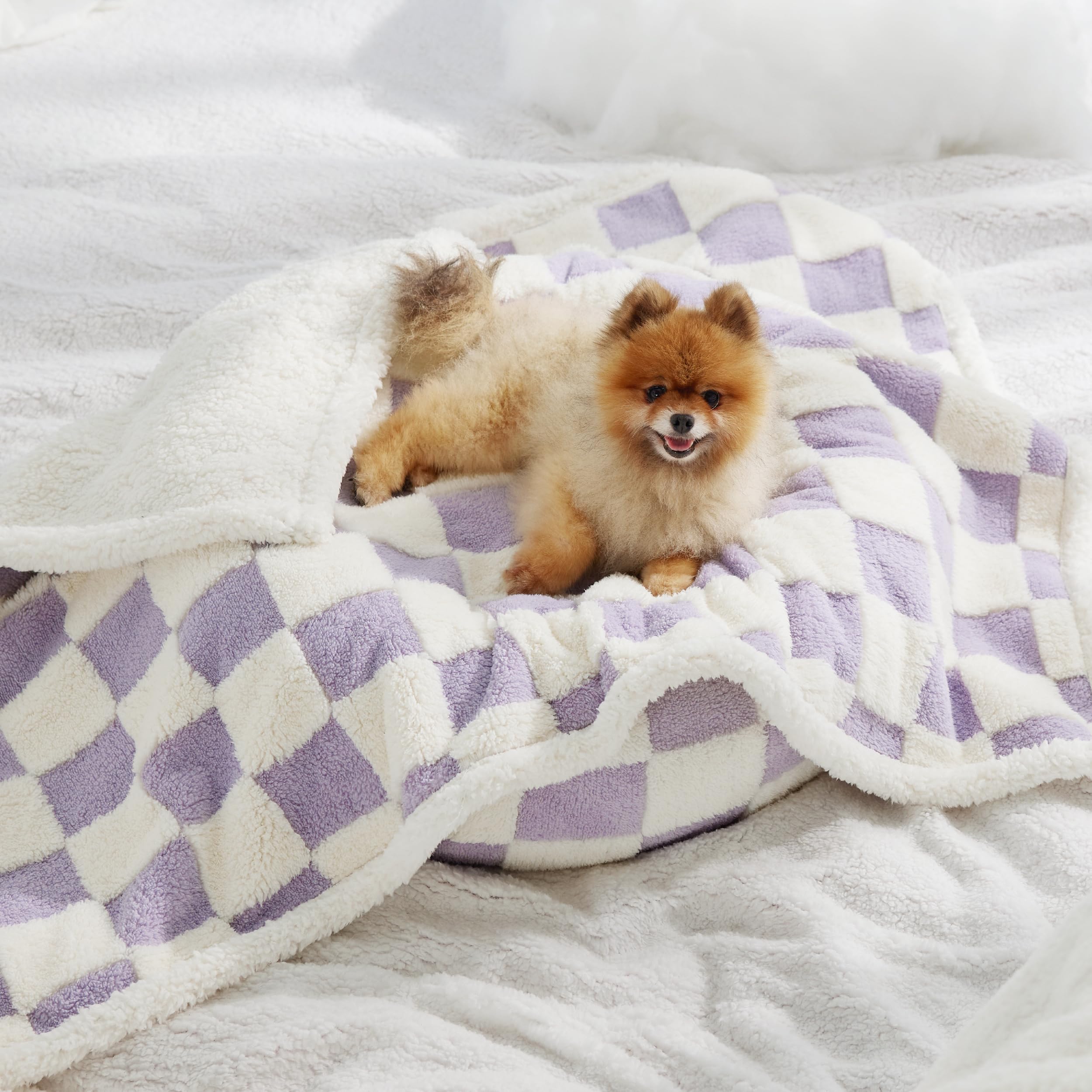 LE SURE durable edge-stitched blanket withstands active pets.