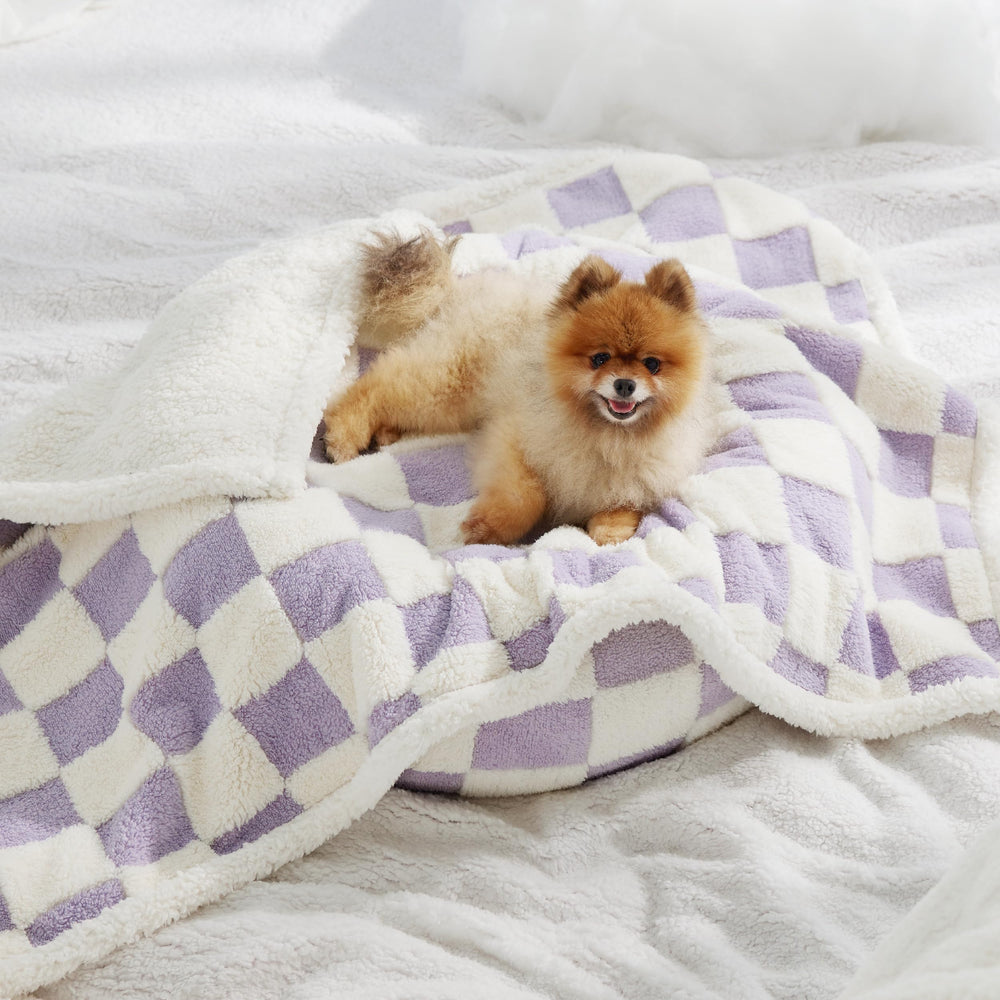 LE SURE durable edge-stitched blanket withstands active pets.