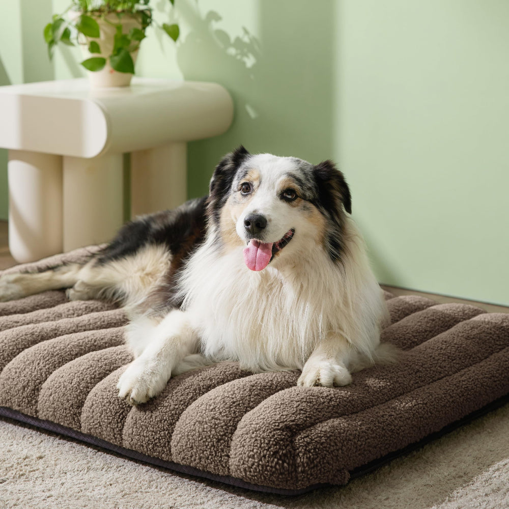 LE SURE egg-crate foam close-up highlights orthopedic support and pressure relief.