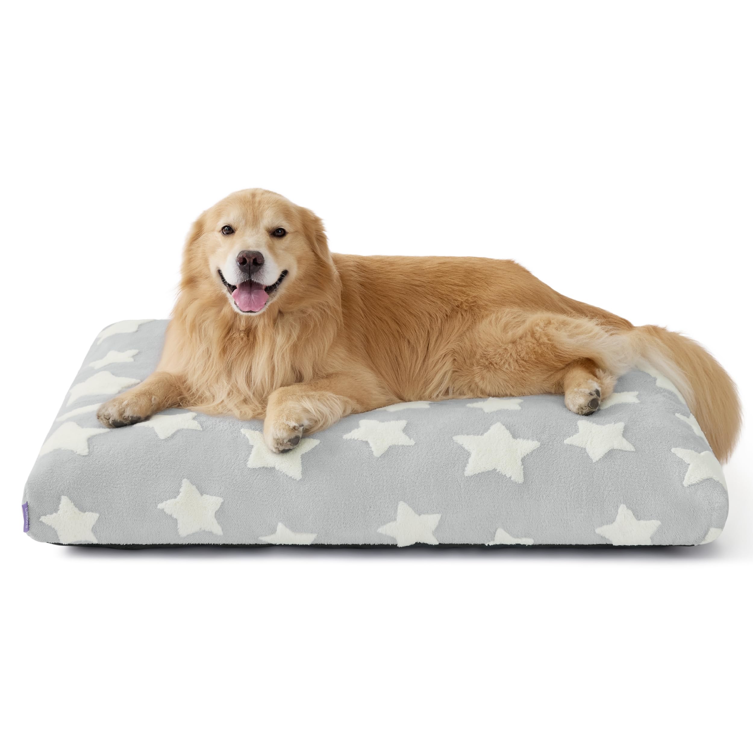 LE SURE Extra Large Dog Bed front view shows roomy lounging space for large dogs