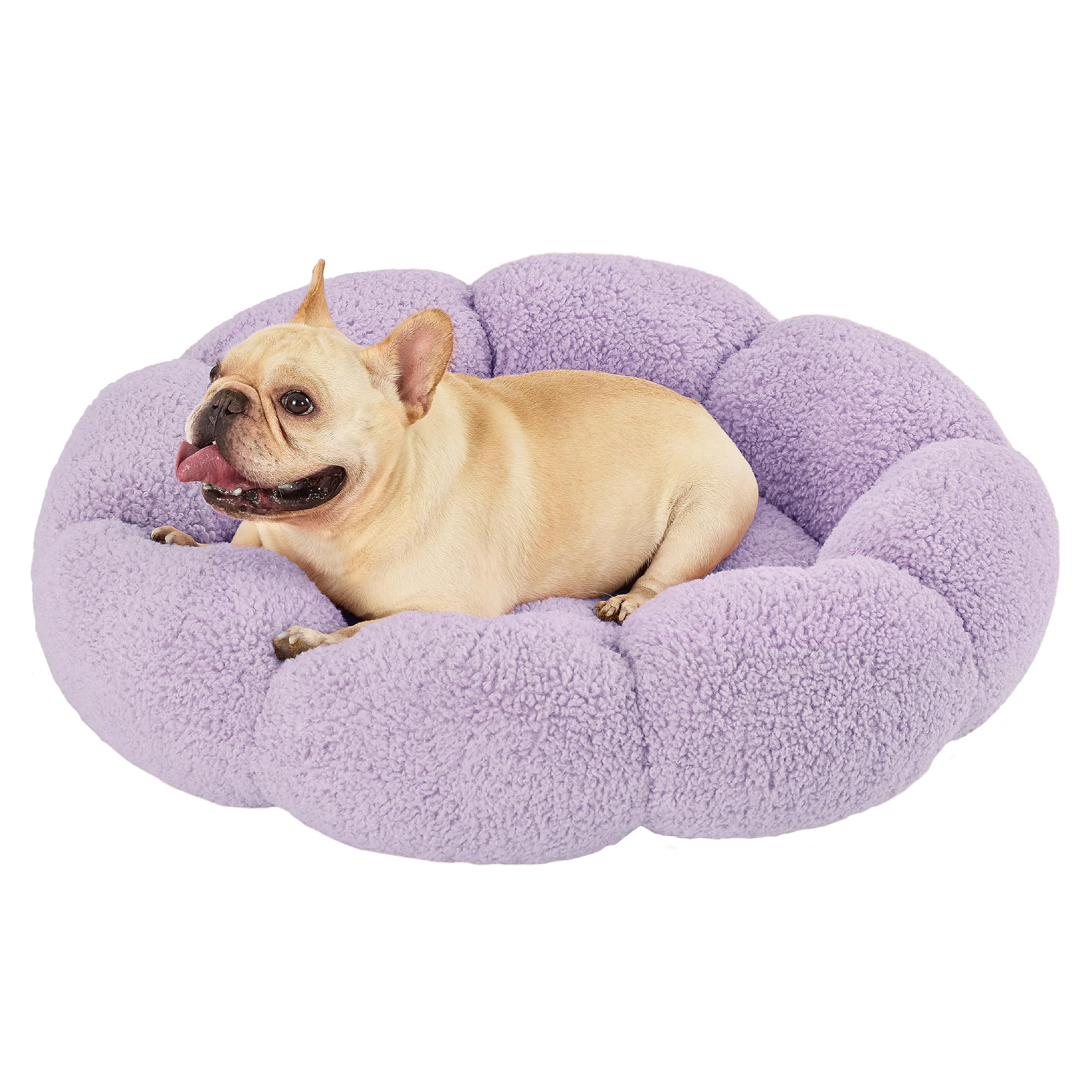 LE SURE flower-donut-dog-bed offers cozy ergonomic support for nap-ready pets.
