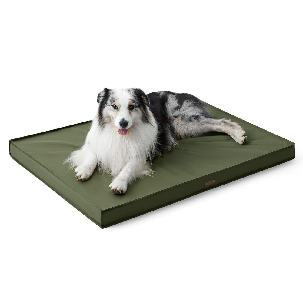 LE SURE green outdoor-ready dog bed displayed on patio