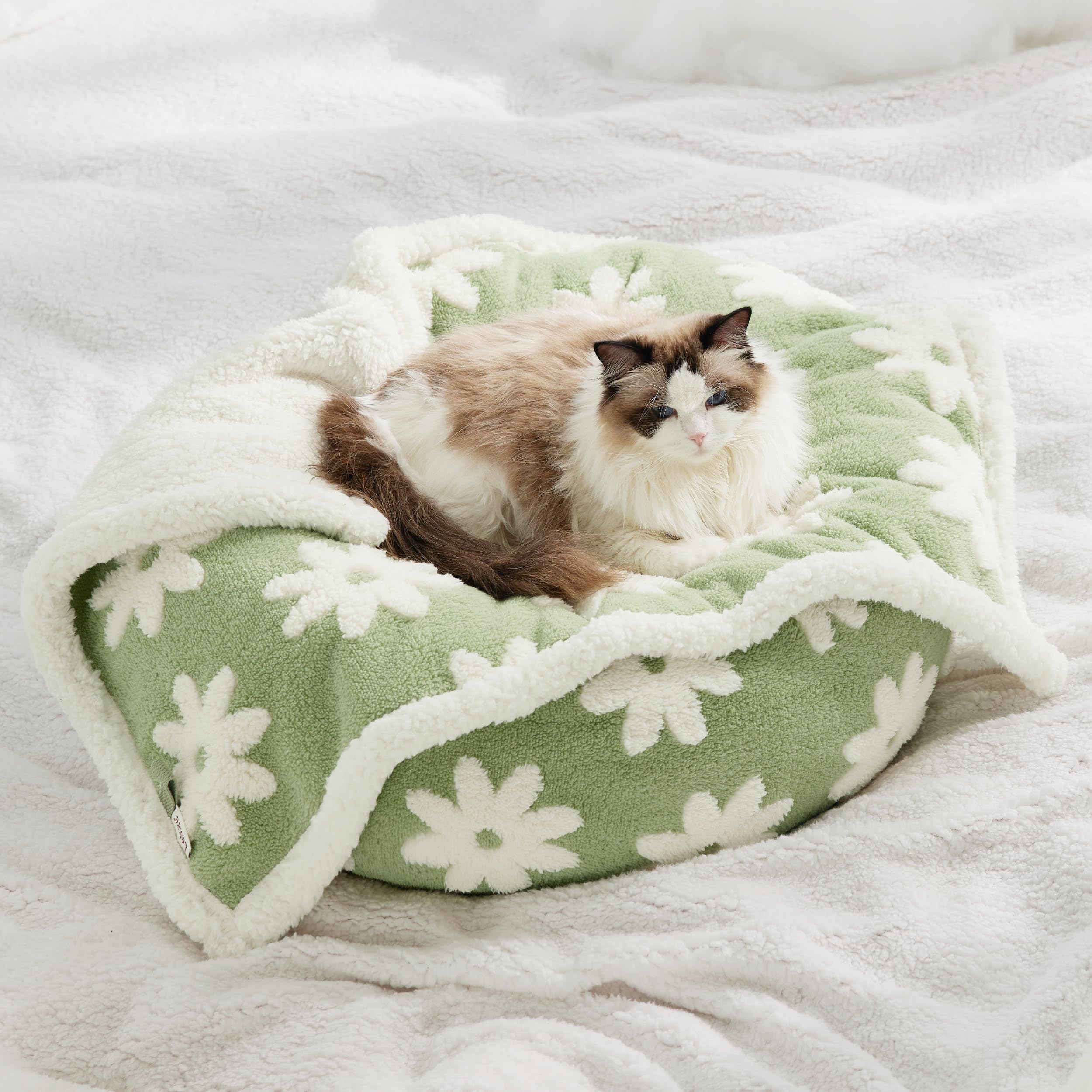 LE SURE indoor-outdoor puppy blanket suits lounging at home or on the go.