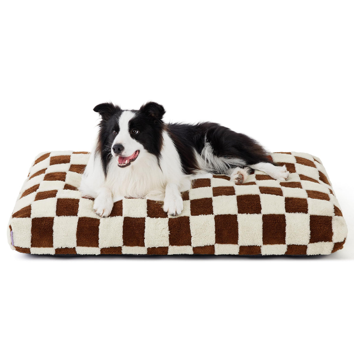 LE SURE large dog bed overview shows chic design and plush comfort.