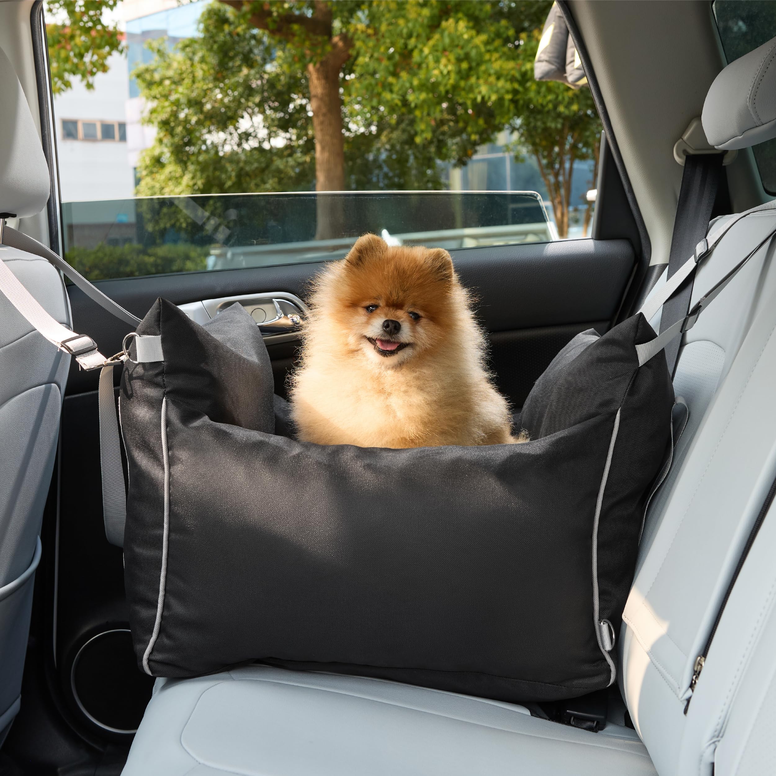 LE SURE Lesure in-car setup shown for flexible placement