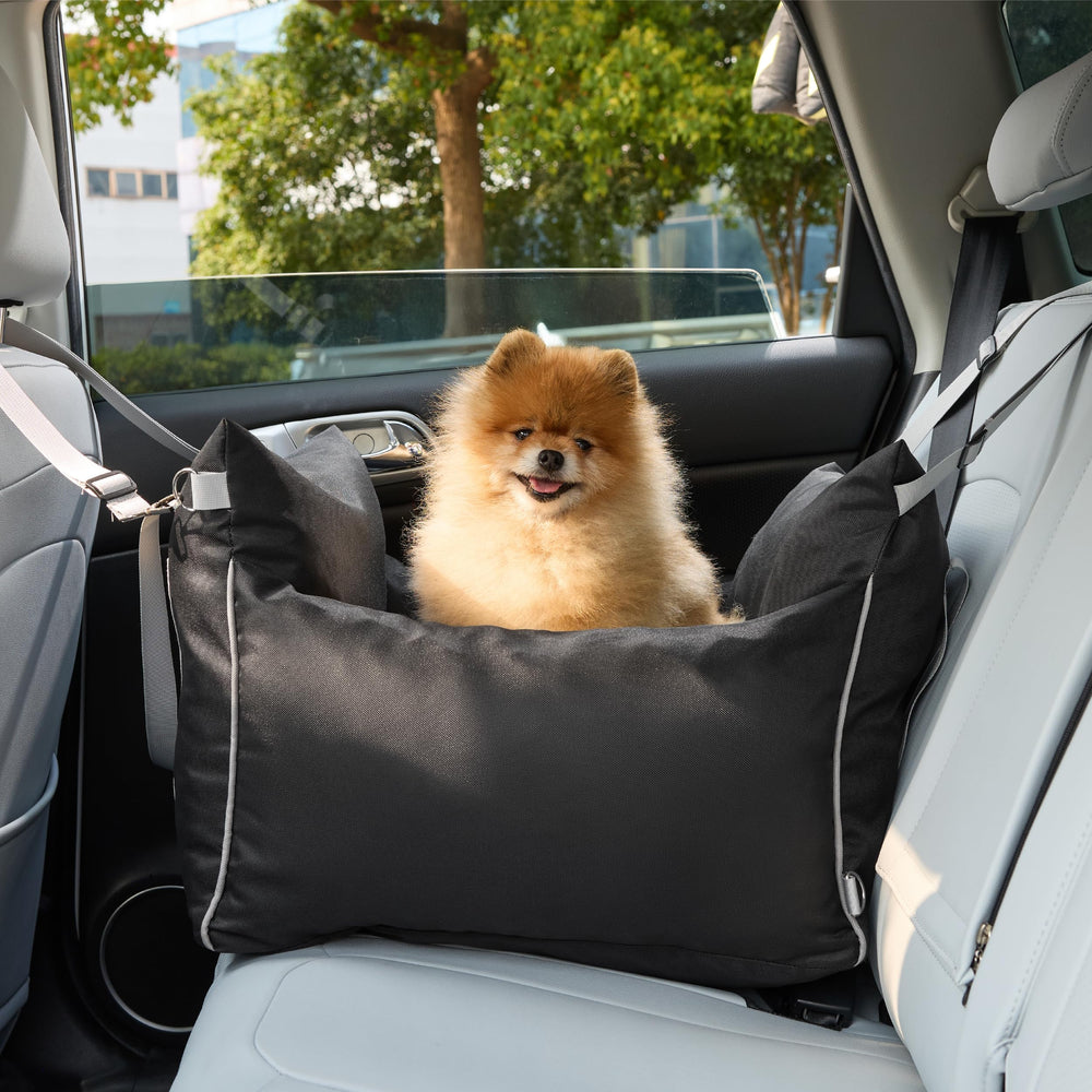 LE SURE Lesure in-car setup shown for flexible placement