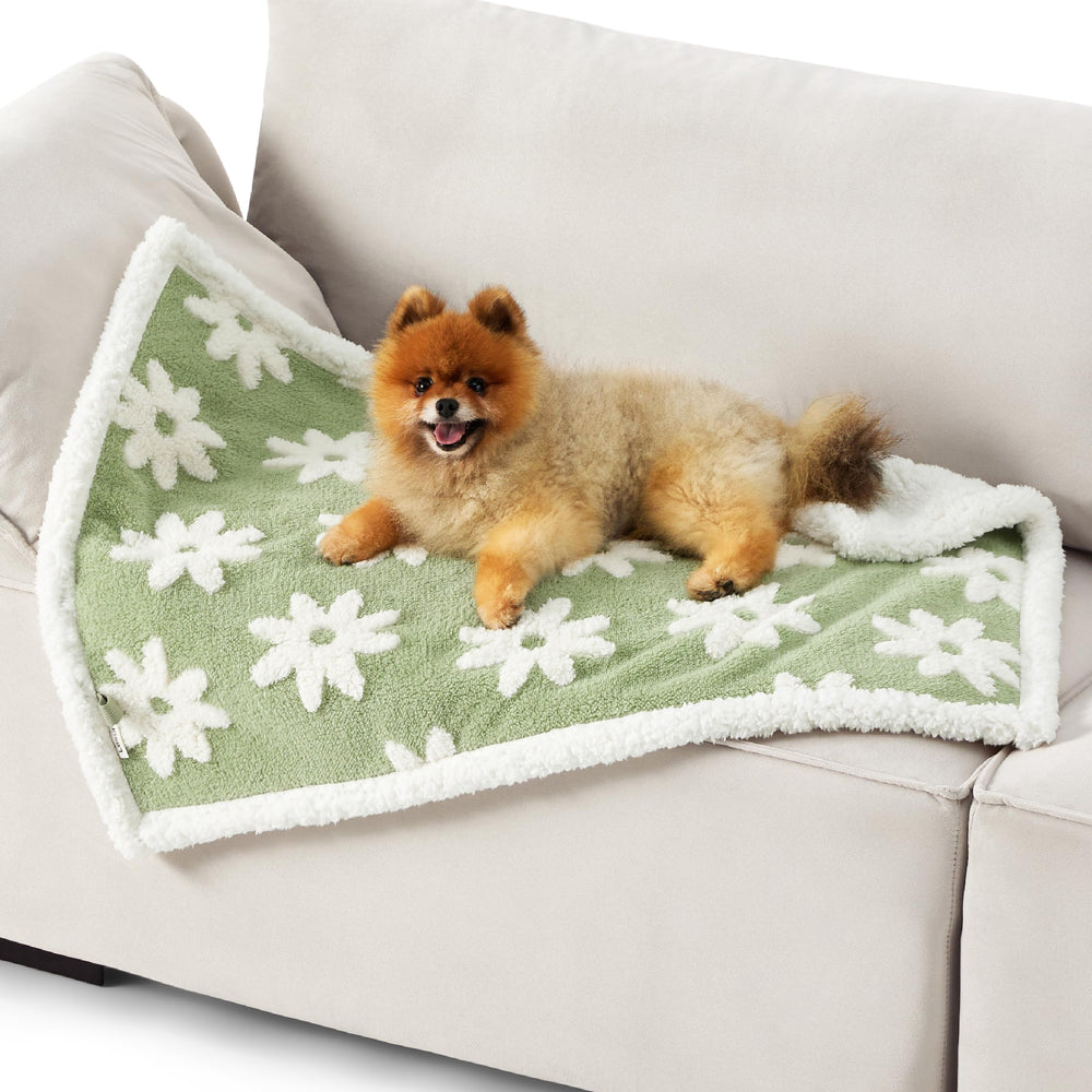 LE SURE lightweight blanket is travel-ready for trips and hotels.
