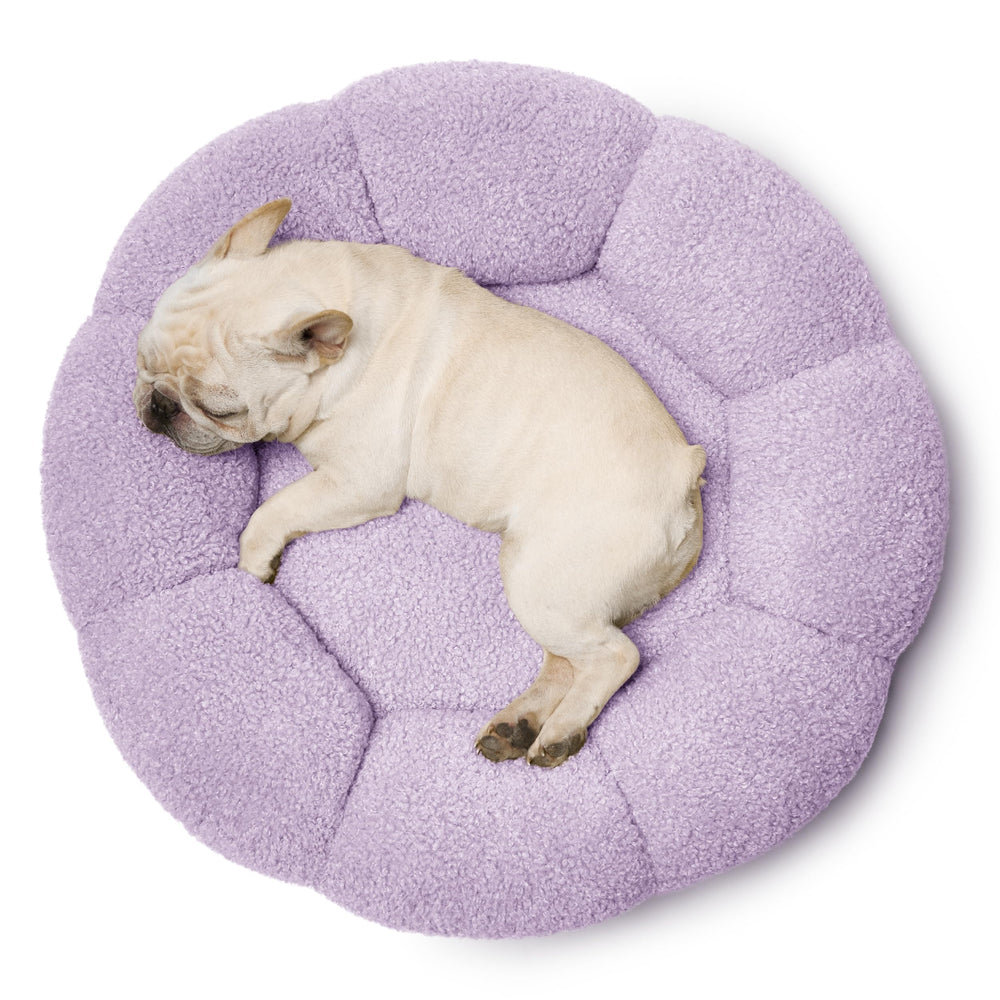 LE SURE medium-dog-bed accommodates pets up to 45 lbs for everyday use.