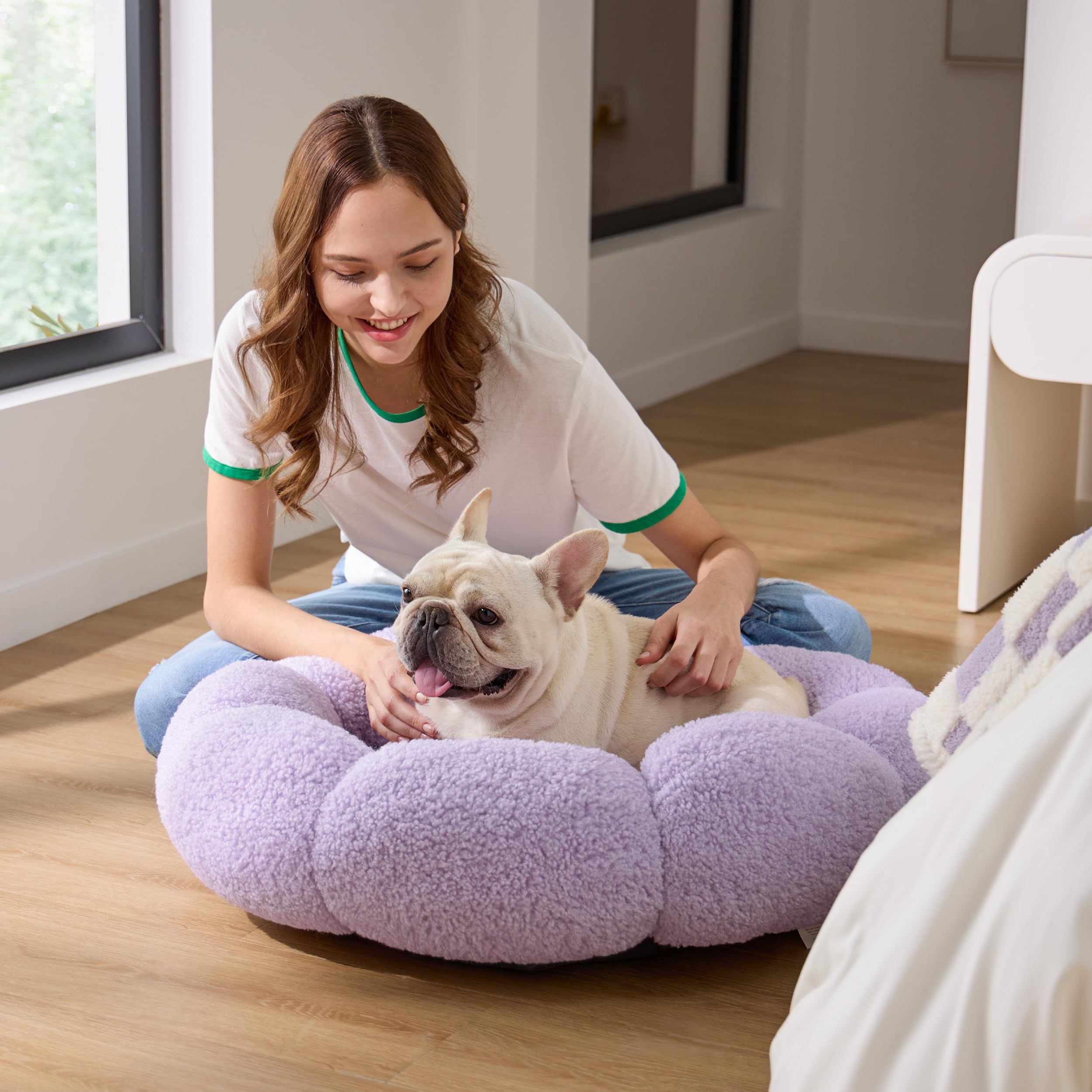 LE SURE OEKO-TEX-certified materials reassure pet parents about safety.