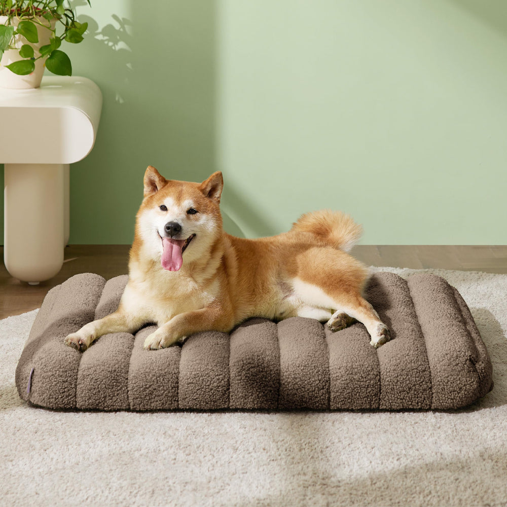 LE SURE dog bed medium with waterproof liner protecting the foam.