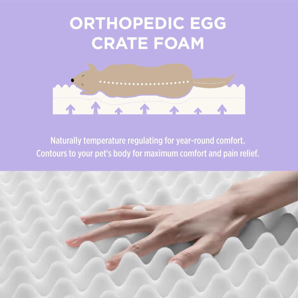 LE SURE oxford fabric cover on dog bed demonstrates durable water-repellent surface