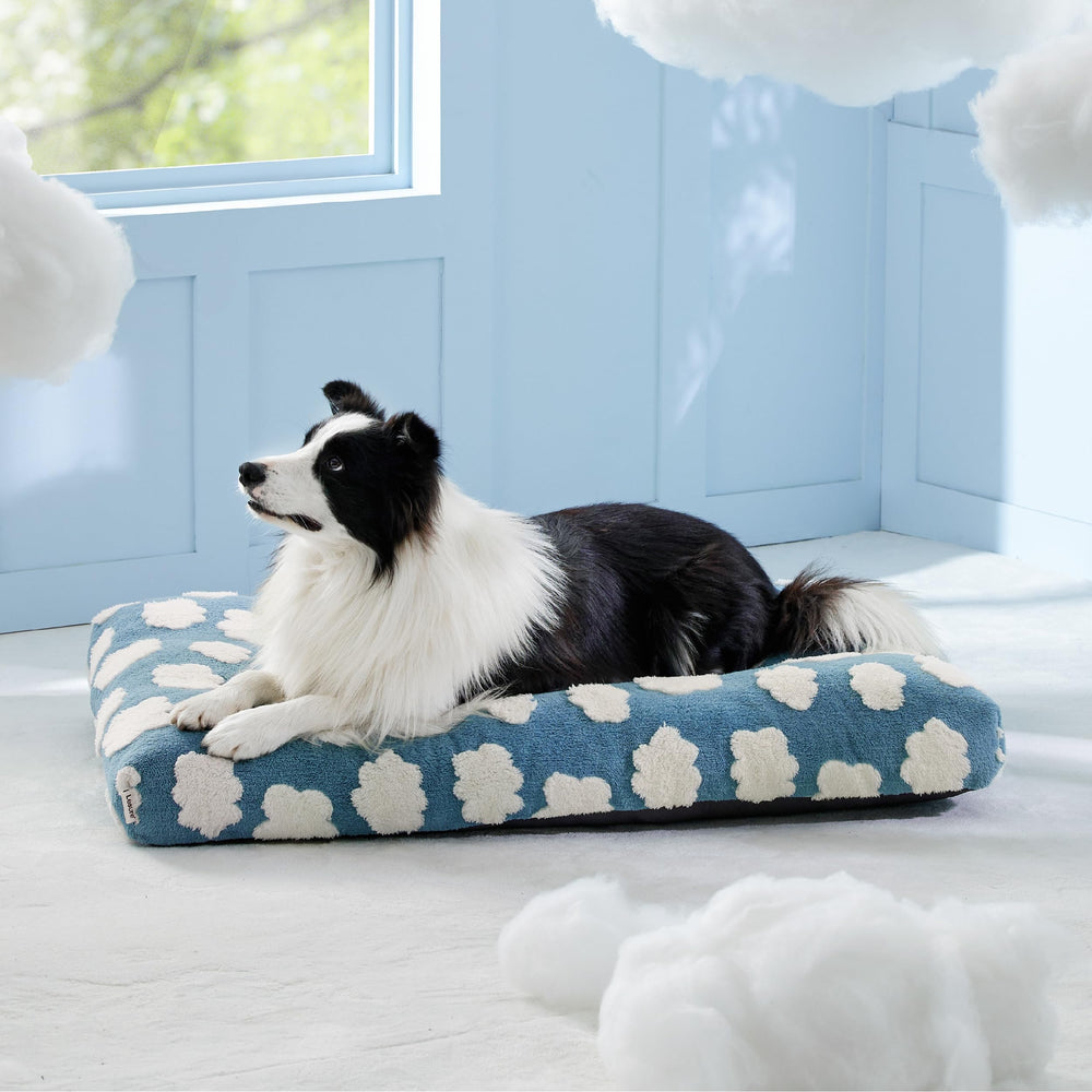 LE SURE portable crate bed indoor-outdoor blue adapts to spaces
