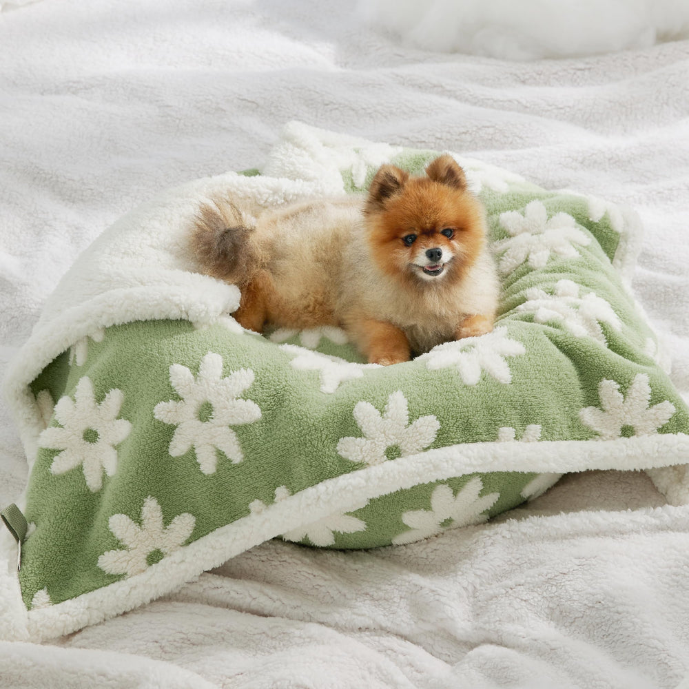 LE SURE sherpa-side blanket keeps pets warm during chilly evenings.
