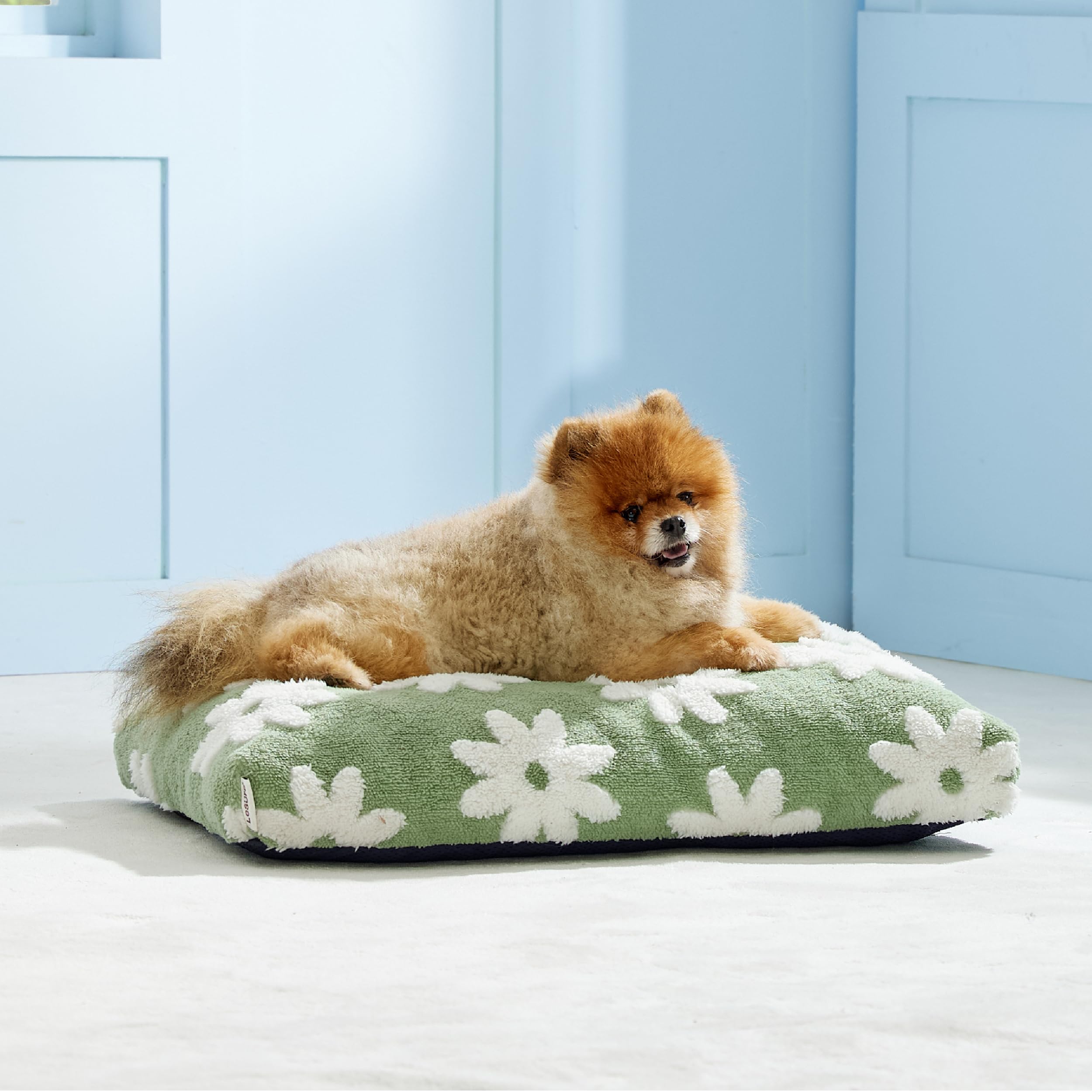 LE SURE small dog bed kennel crate use creates a familiar resting space.