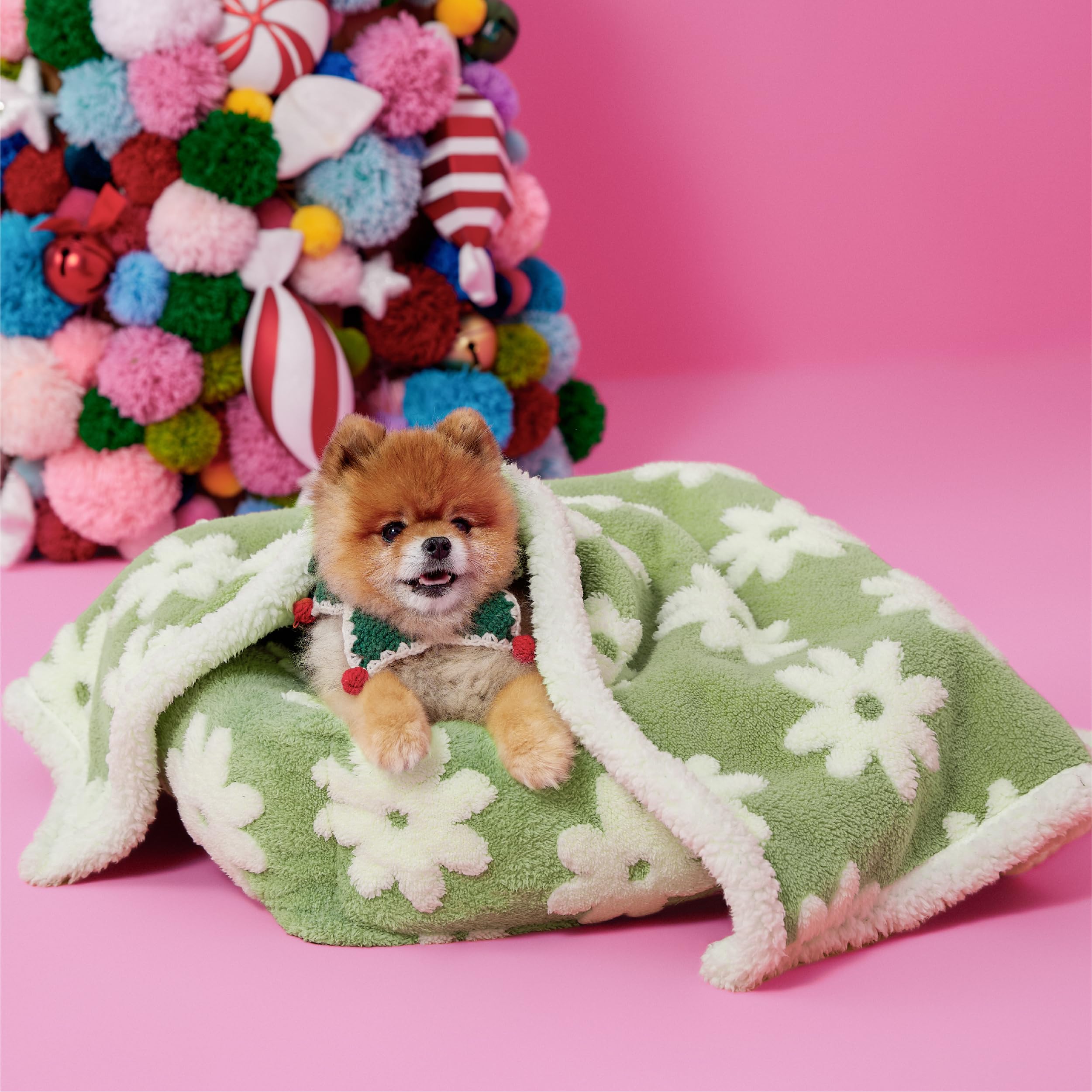 LE SURE small-dog blanket with soft sherpa fleece for snug naps.