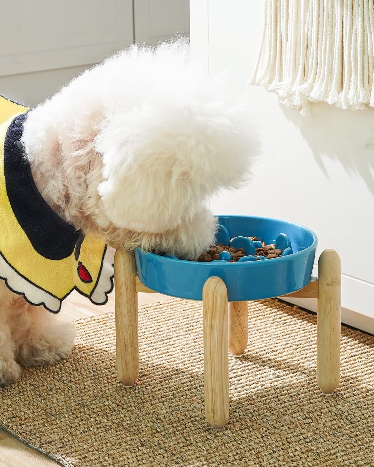 LE TAUCI 3-cup elevated ceramic bowl blue vortex supports mindful feeding.