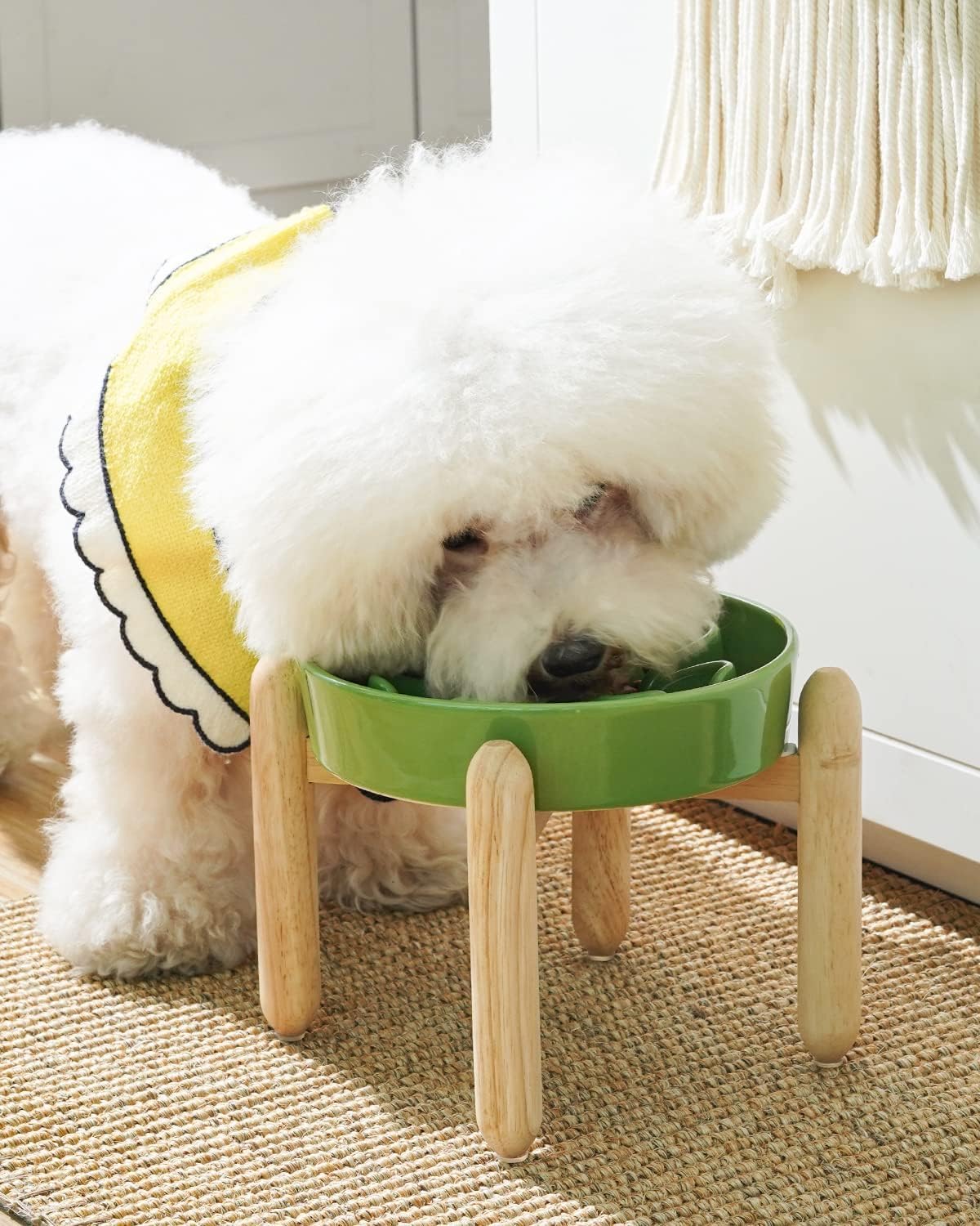 LE TAUCI anti-gulping bowl with maze pattern to slow eating and prevent rapid gulping.