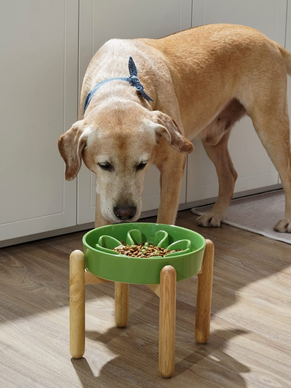 LE TAUCI ceramic dish surface with smooth finish for easy cleaning after meals.