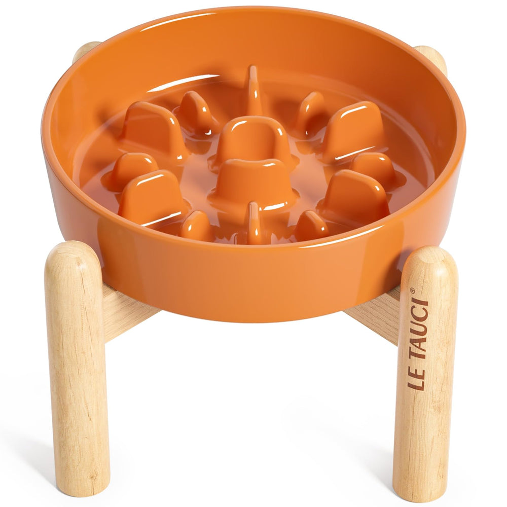 LE TAUCI ceramic slow-feed dog bowl with elevated design for steadier meals