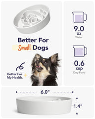 LE TAUCI ceramic slow feeder bowl angle white easy-to-clean surface after meals.