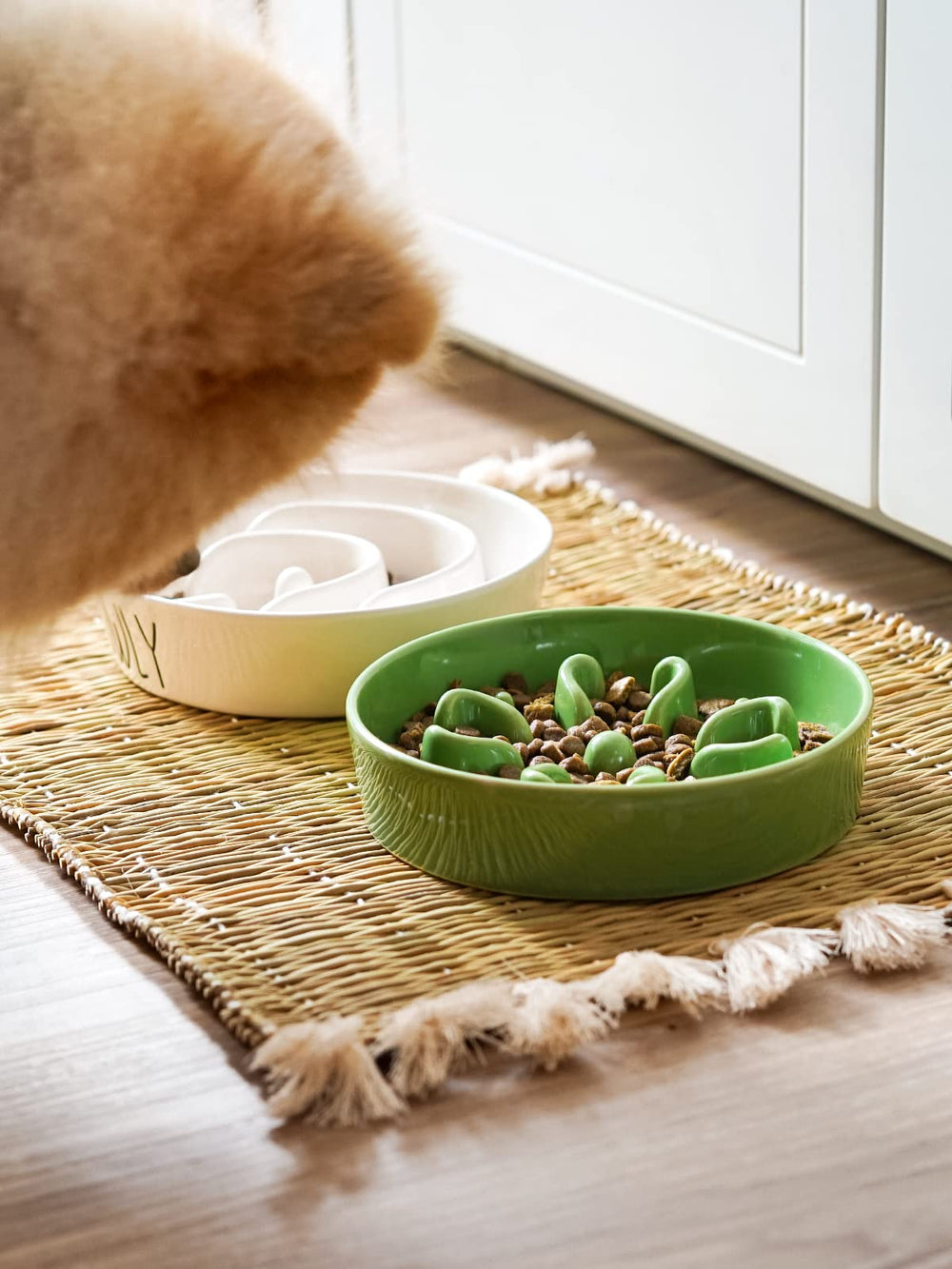 LE TAUCI slow feeder bowl side view shows sturdy non-slip base for stable feeding.