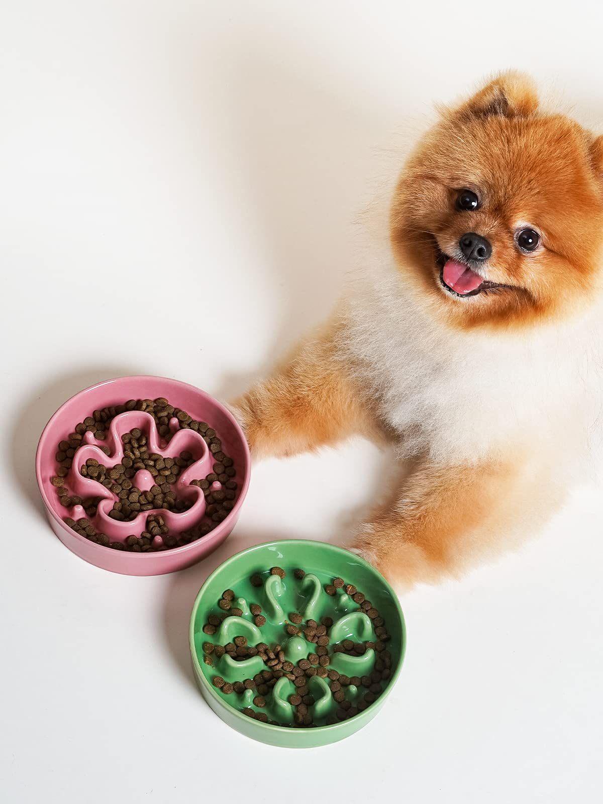 LE TAUCI with dog meal setup demonstrates 0.6 cup portion for small dogs.