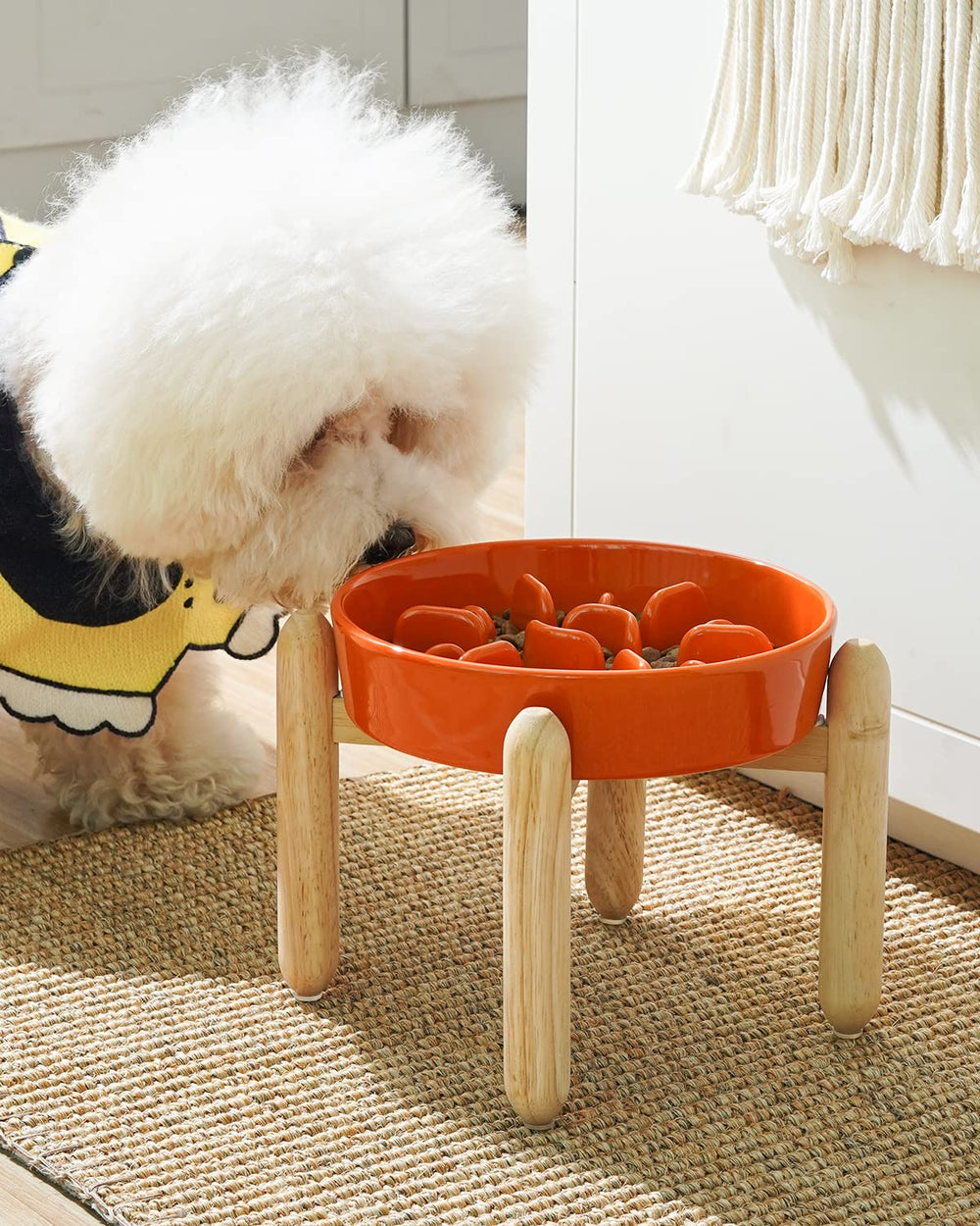 LE TAUCI ceramic bowl with wooden stand elevates feeding for comfortable mealtimes