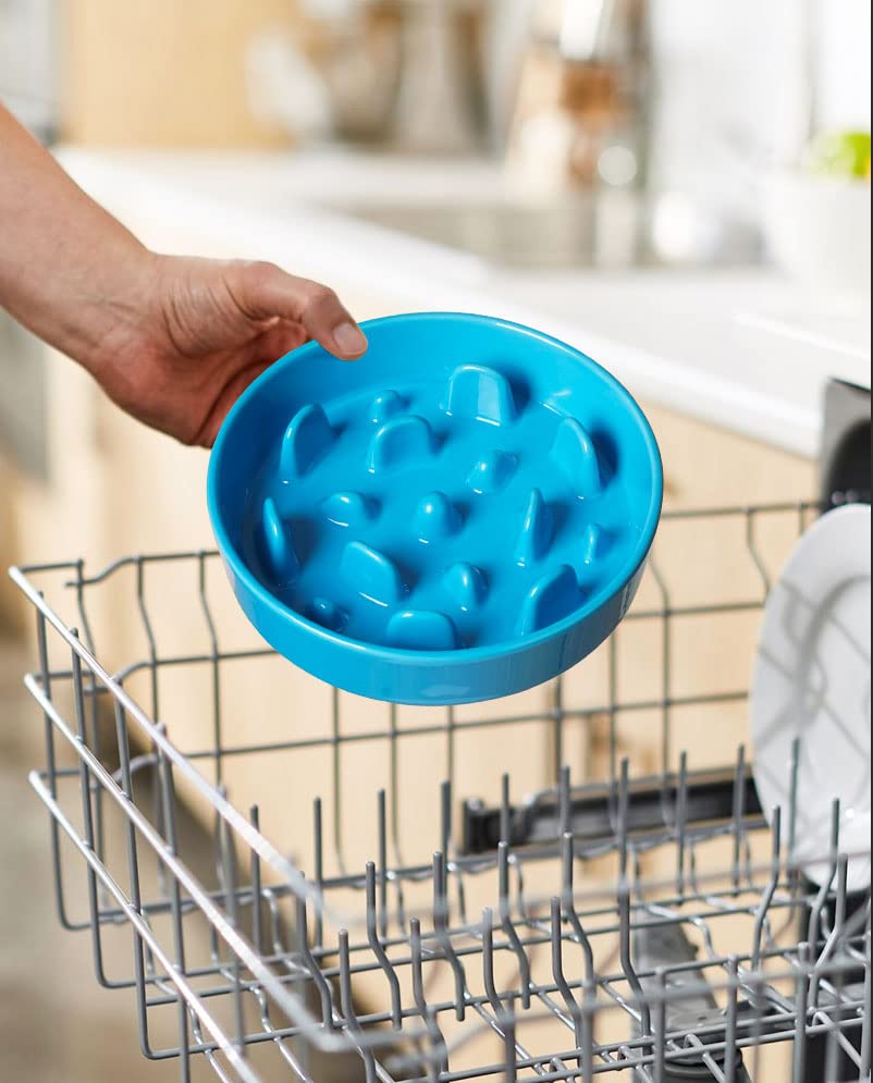 LE TAUCI ceramic slow feeder dog bowl microwave-safe convenient for heating meals