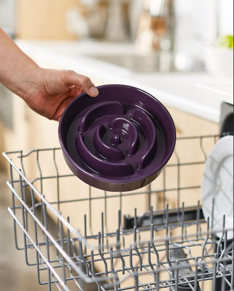 LE TAUCI 1.5-cup capacity suits small-to-medium dogs' portions
