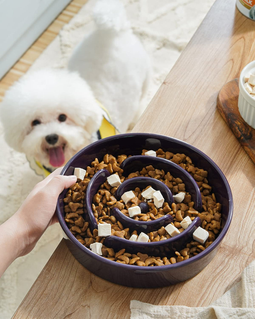 LE TAUCI maze-pattern bowl engages dogs with a puzzle feeding challenge