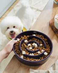 LE TAUCI maze-pattern bowl engages dogs with a puzzle feeding challenge