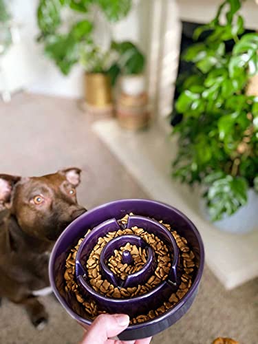 LE TAUCI purple ceramic bowl blends style with practical feeding
