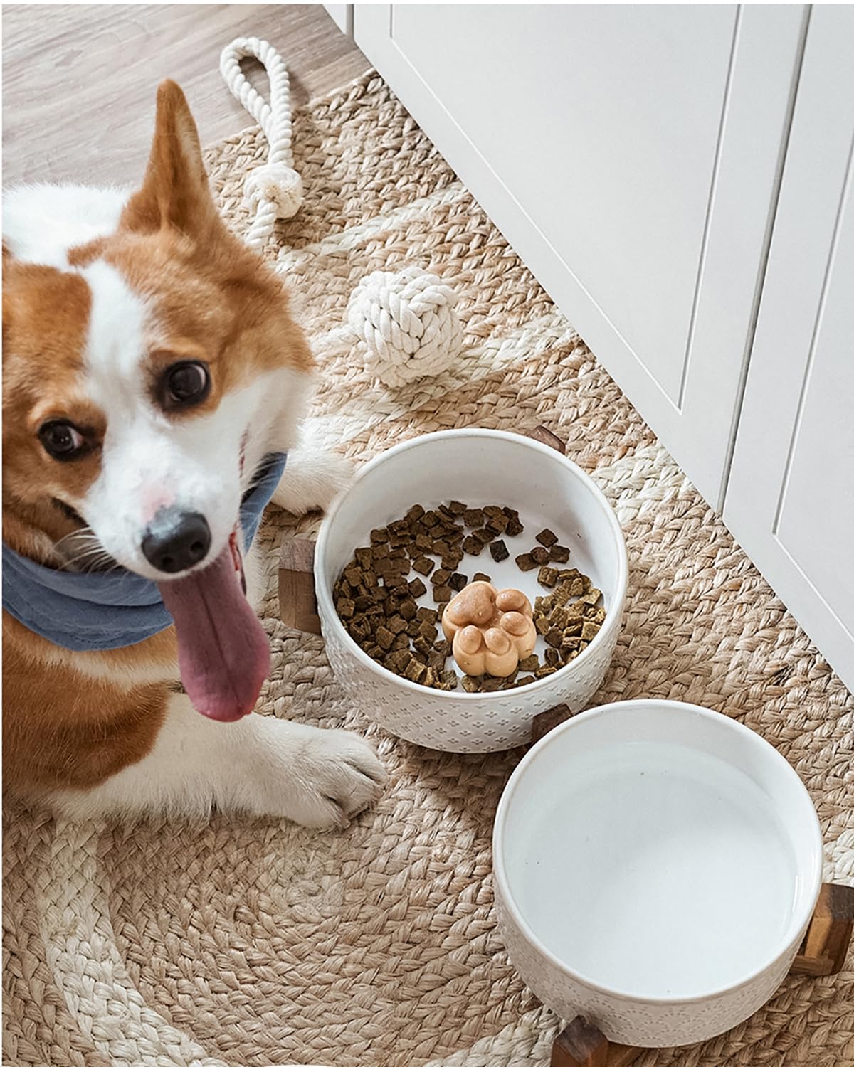 LE TAUCI dishwasher-safe ceramic bowls for simple cleanup