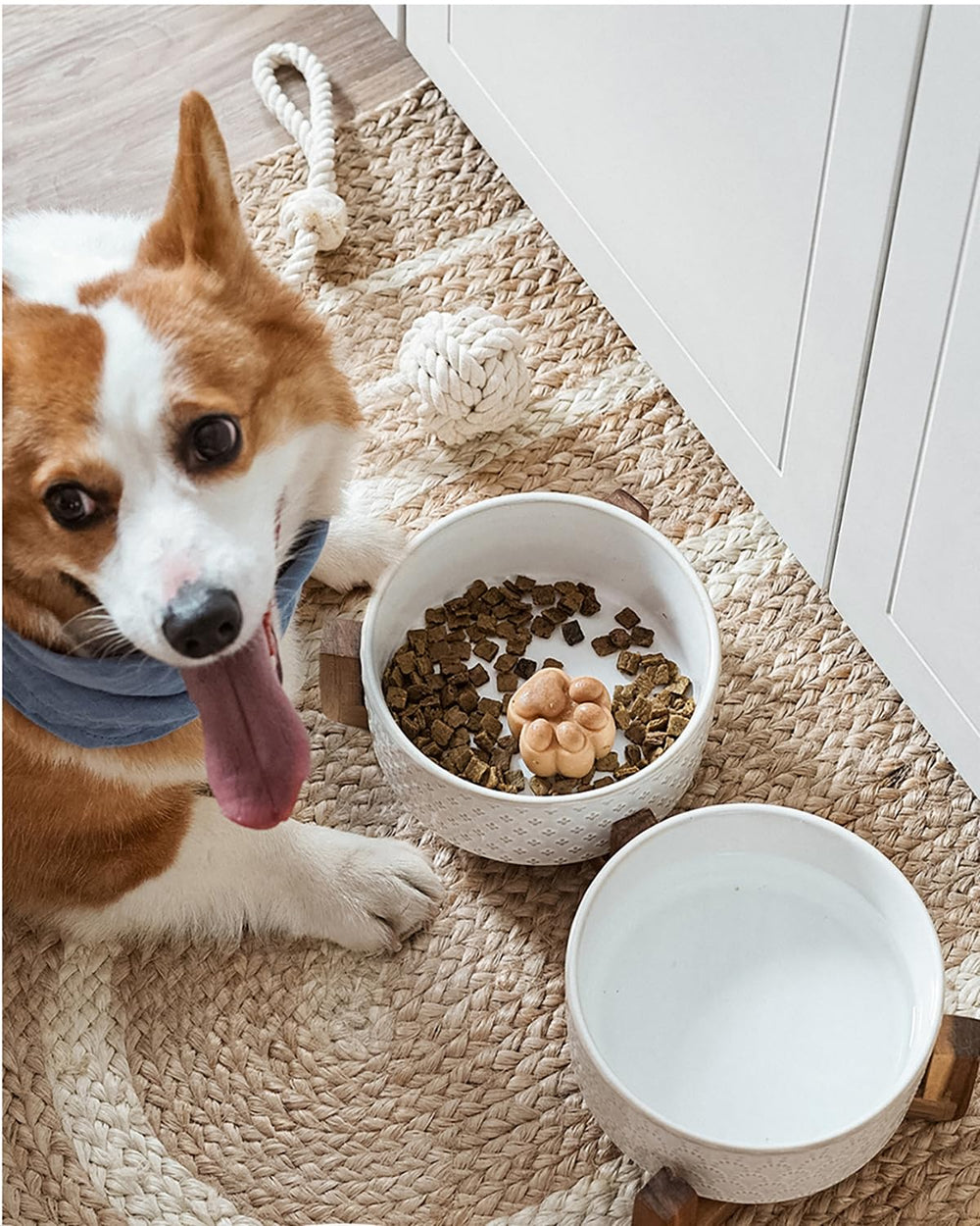 LE TAUCI dishwasher-safe ceramic bowls for simple cleanup