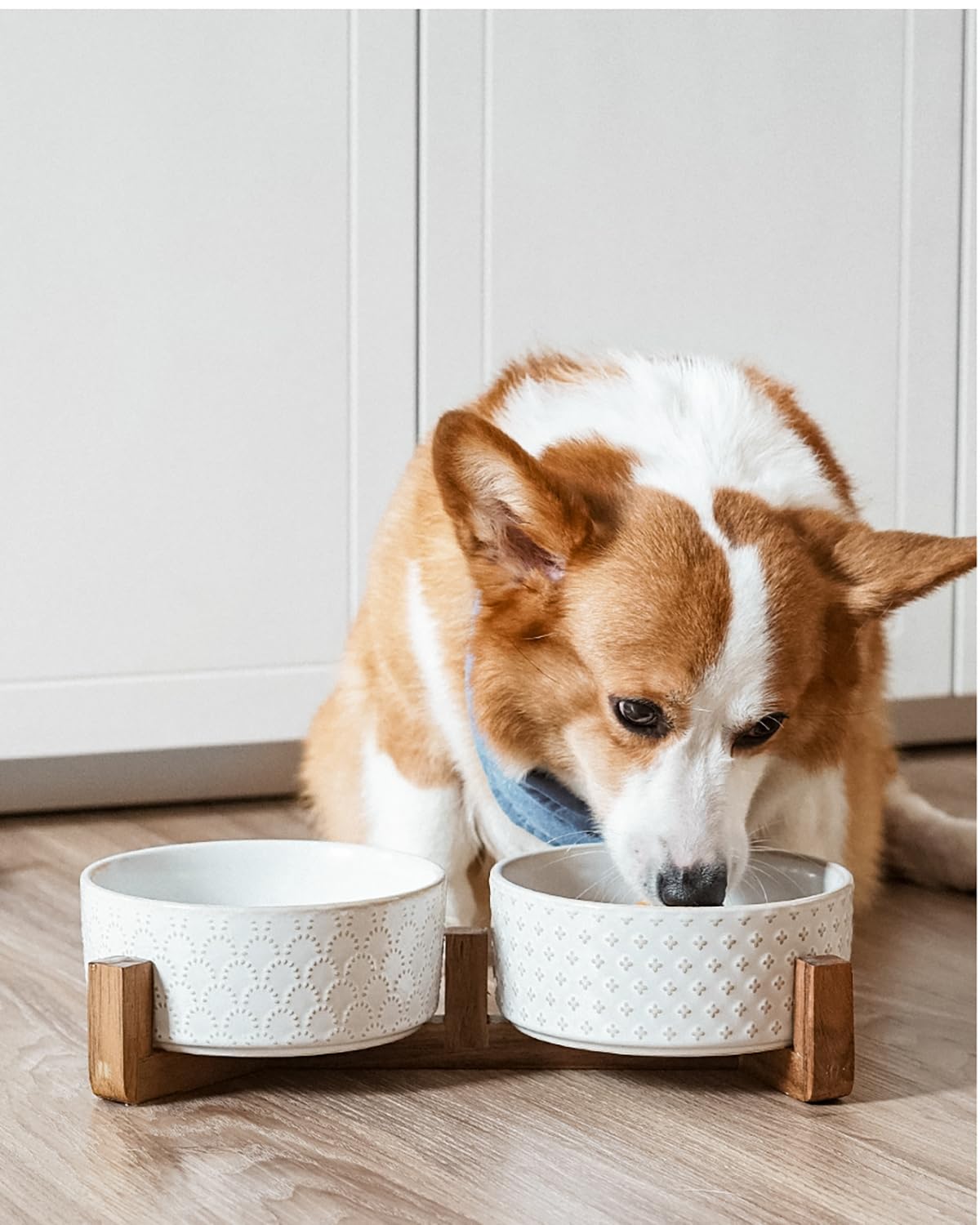 LE TAUCI microwave-safe bowls for quick meal warming