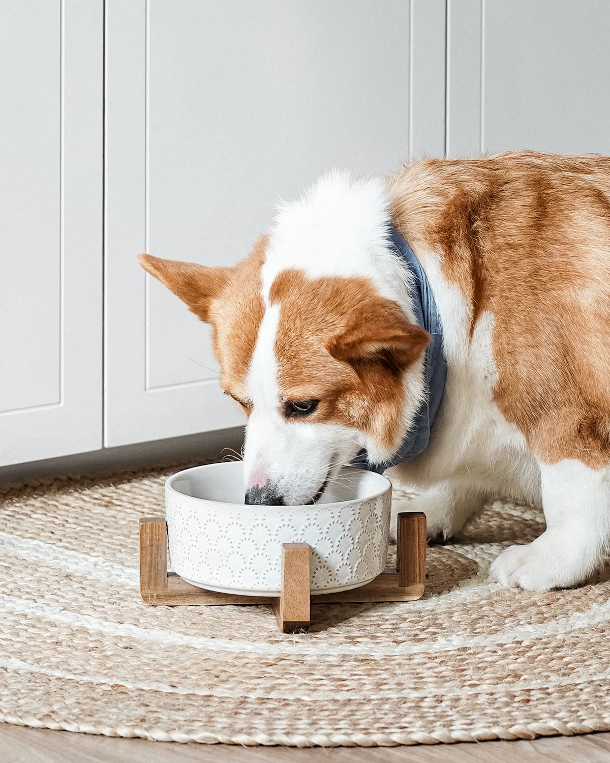 LE TAUCI elevated dog bowl on acacia stand reduces neck strain during meals
