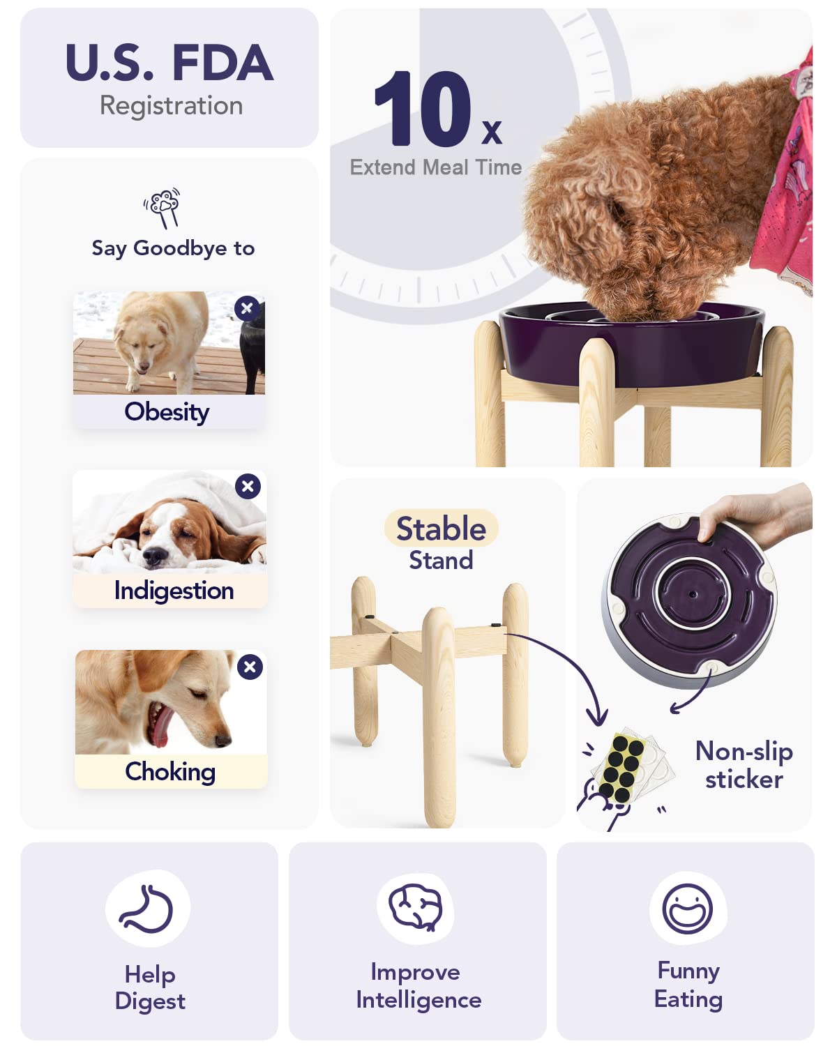 LE TAUCI elevated wooden-base bowl keeps meals clean and comfortable for medium to large dogs