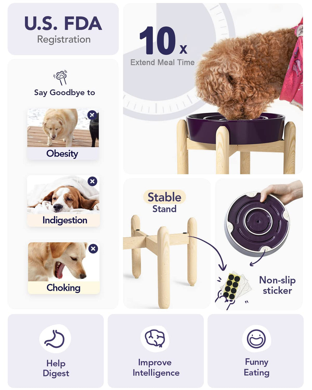 LE TAUCI elevated wooden-base bowl keeps meals clean and comfortable for medium to large dogs